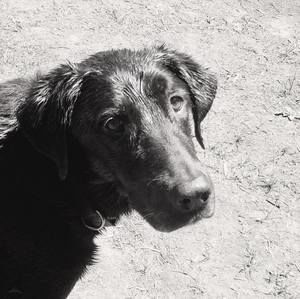 Meet your Posher, Kellyann